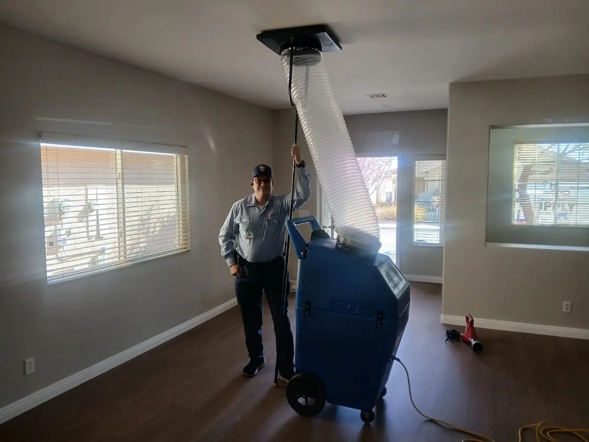 Professional Dryer Vent Cleaning work inside a Glendale home